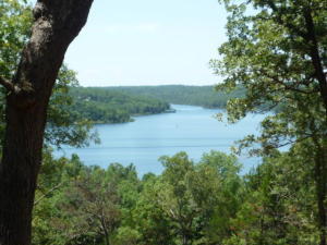 Look no further than this cozy 8.66 acre lot tucked away on Bull Shoals Lake. With spots perfect for building your dream home, including the best views to enjoy and room for your favorite outdoor activities on land or water and complete with the conveniences or being 30-35 minutes from Harrison, AR and Branson, MO. This is not a deal you want to pass on! Don't wait, Call today!