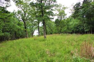 Persimmon Point - Land