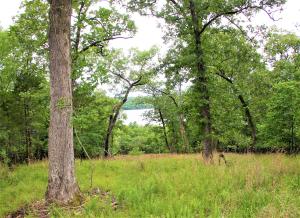 Persimmon Point - Land