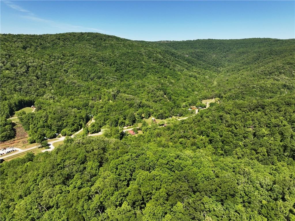Recently completed survey available. Newton County, a generational vacation destination, where families have come together to enjoy the natural beauty of Arkansas for hundreds of years. Take a look at this unique 40-acre property that is located in a prime area for future development. Real estate is in high demand in Newton County, with investors wanting to be a part of the action. This heavily wooded property is located off Stoverville Road in Ponca just up the mountain from the Buffalo Outdoor Center. Stoverville Road provides plenty of access to some excellent building sites on the property. Hiking trails could be developed with private overnight camping sites in the more remote areas. Popular mountain biking trails could be extended through the property. The possibilities are endless with this Newton County property. Build a home, a trading post, a resort, etc.