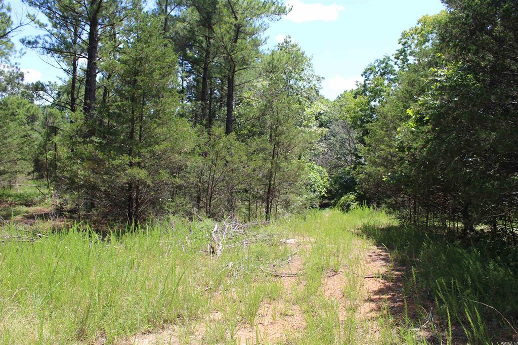 Round Mountain Estates - Land