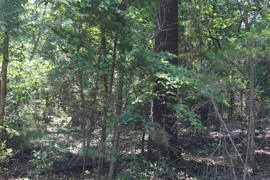 Round Mountain Estates - Land