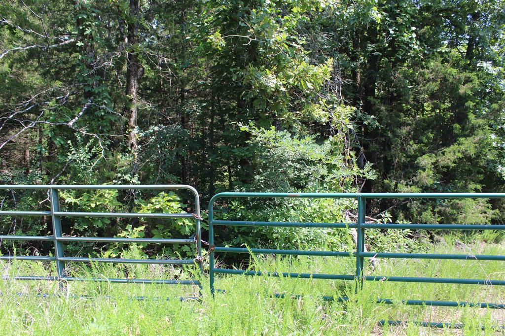 Round Mountain Estates - Land