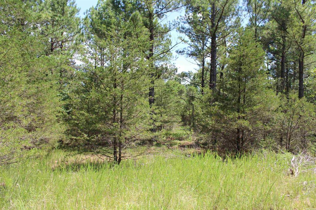 Round Mountain Estates - Land