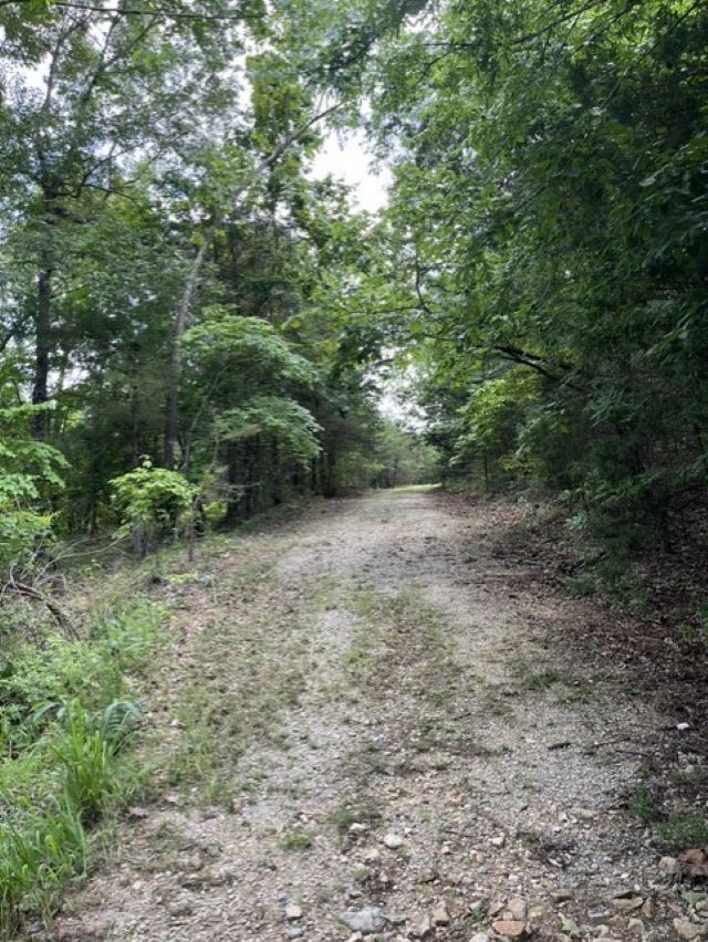 Round Mountain Estates - Land