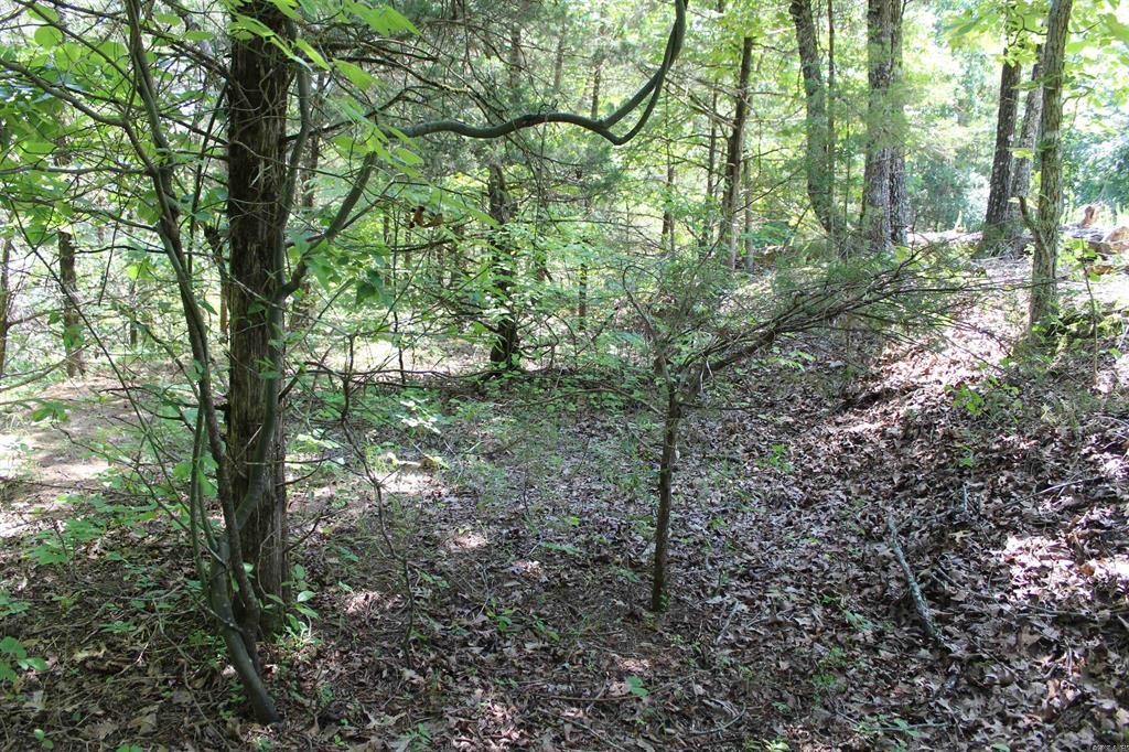 Round Mountain Estates - Land