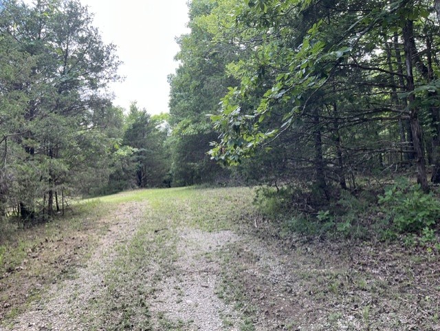 Round Mountain Estates - Land