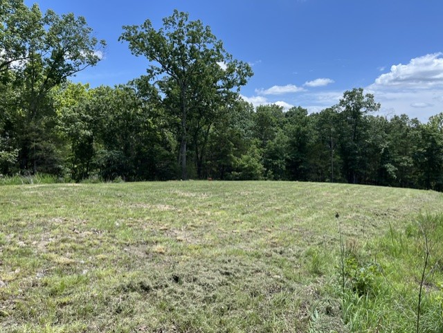 Round Mountain Estates - Land
