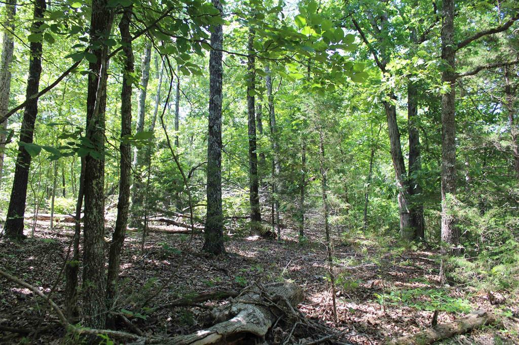 Round Mountain Estates - Land