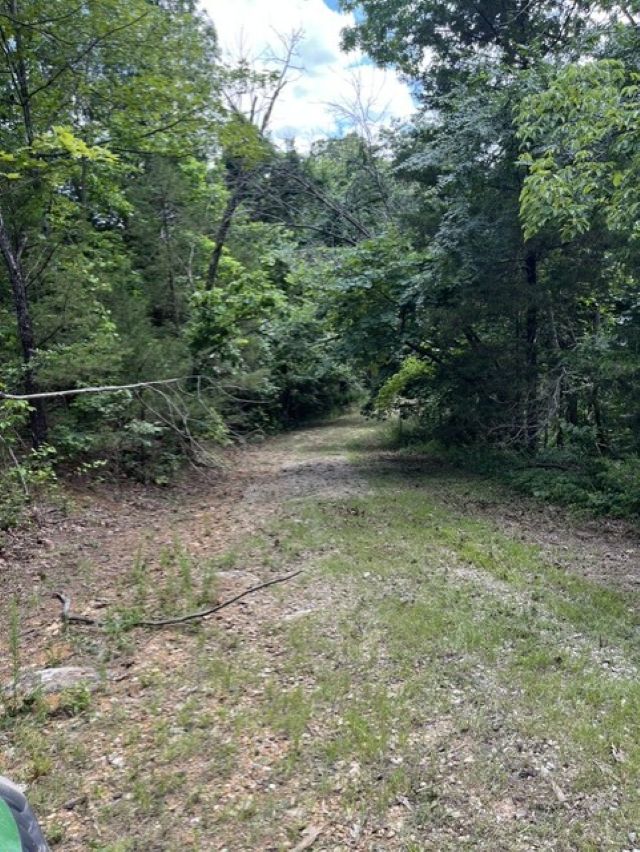 Round Mountain Estates - Land