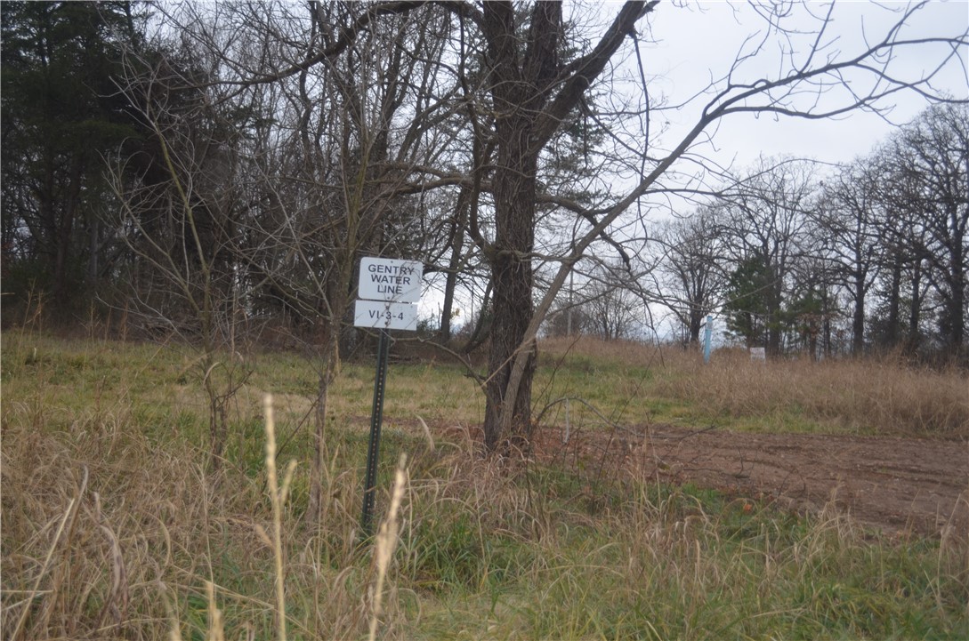 Nice 5.21 acre tract to build your dream home on , water and electric at street , this tract will need septic. Also listed with 2 tracts 4 and 5 on MLS # 1169380