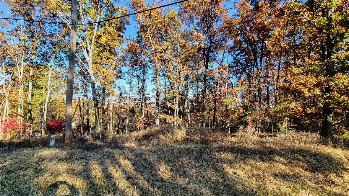 The gently wooded area provides a nice natural backdrop, offering the perfect spot for a future home or investment opportunity. On-site septic is needed. Don't miss the chance to secure your spot in this desirable Bella Vista location and turn your dream home into a reality!