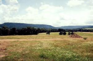 Somerset Meadows - Land