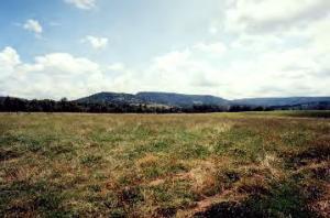 Somerset Meadows - Land