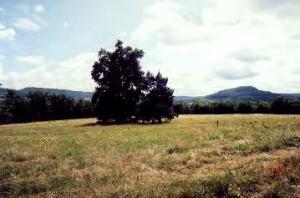 Somerset Meadows - Land