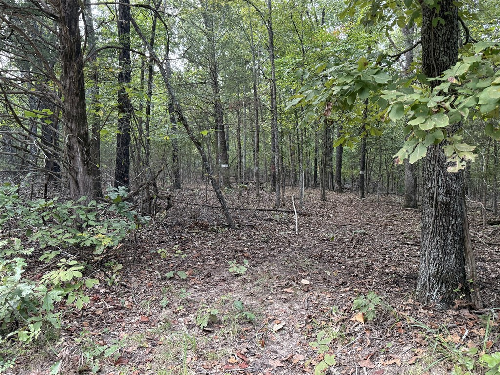 20 Secluded Acres Near the Lake – A Rare Opportunity!

Discover the perfect blend of privacy and recreation with this stunning 20-acre property nestled alongside land managed by the U.S. Army Corps of Engineers. Clearly marked and offering added peace of mind, this property provides the serenity you’ve been searching for.

A quiet road runs alongside the property and continues past it, ending right at the lake — giving you convenient access to the water while maintaining your own private retreat. With trees surrounding the acreage, you’ll enjoy natural beauty, shade, and abundant wildlife right outside your door.

? Property Highlights:

20 beautiful, wooded acres

Adjacent to marked Corps of Engineers land

Lake within walking distance

Road access extending to the lake

Peaceful, private setting

Whether you’re dreaming of building a lake-area getaway, creating a hunting retreat, or investing in land with incredible potential, this property checks all the boxes.
