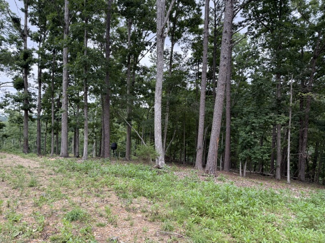 Pinecrest Sub Rurban - Land