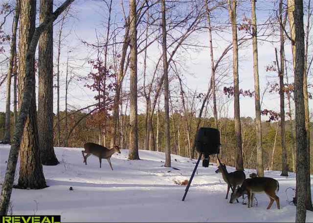 Pinecrest Sub Rurban - Land