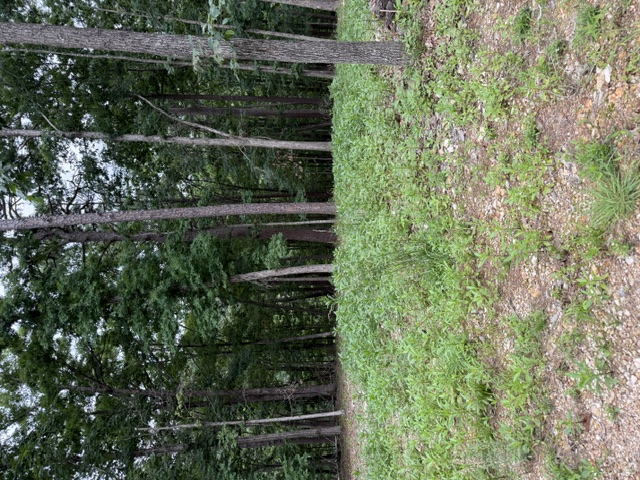 Pinecrest Sub Rurban - Land