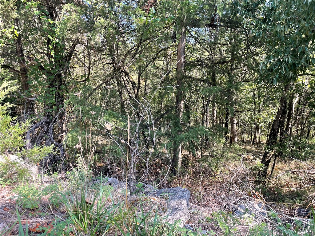 Unit 5 Holiday Island - Land