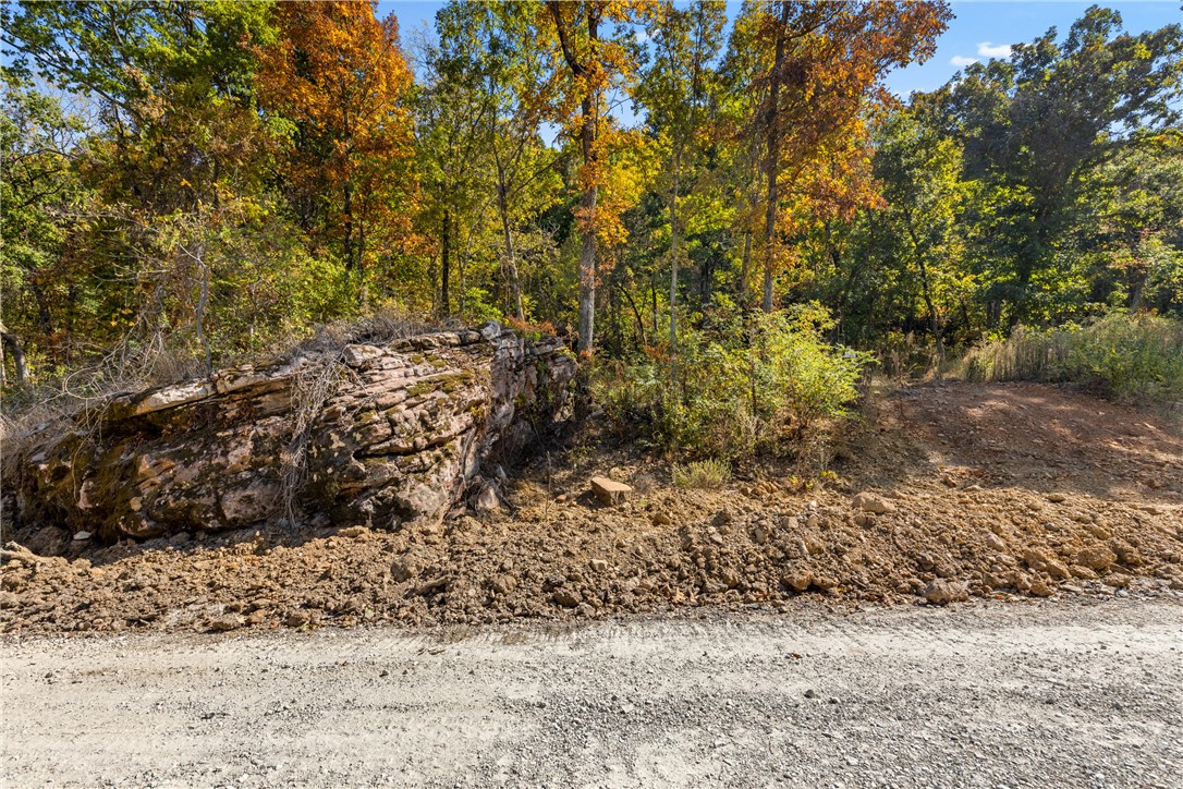 Round Mountain Estates - Land
