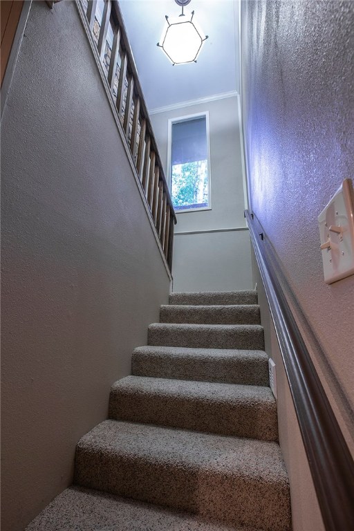 Wentworth Sub Bvv - Residential