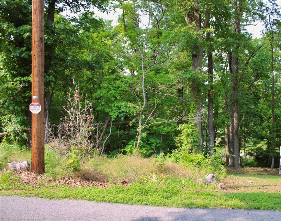 Attention outdoor lovers! These prime Bella Vista lots offer unbeatable trailside living-- situated right next to the popular Tunnel Vision trailhead.  Step outside and hit the trails for a hiking or biking adventure straight from you doorstep. Near several golf courses, Lake Avalon Beach, and a full range of community amenities and just a short drive to I-49.
Each individual lot recently perc tested for 3-4 bedrooms so you could build two homes or allow for you to build your larger custom l4-6 bedroom dream home.  
Don't miss your chance to build in one of the most desirable locations in Bella Vista!