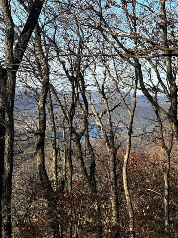 Owner financing available! Discover the perfect opportunity to build your dream home on this 1.31-acre lot with gorgeous mountain and seasonal lake views in Holiday Island. This secluded, buildable lot offers flexibility and function at an unbeatable price! Holiday Island is a sought-after community featuring two stunning golf courses, a recently renovated pool and recreation center, and abundant wildlife. Holiday Island also borders the breathtaking Table Rock Lake, making it an ideal retreat for nature lovers and outdoor enthusiasts. Whether you’re looking to build your forever home, a weekend getaway, or an investment property, this lot provides the space, privacy, and amenities you need at an incredible value. Don’t miss out on this rare find!