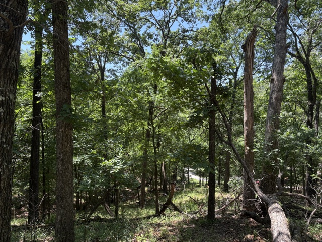 Lost Bridge Village Rurban - Land
