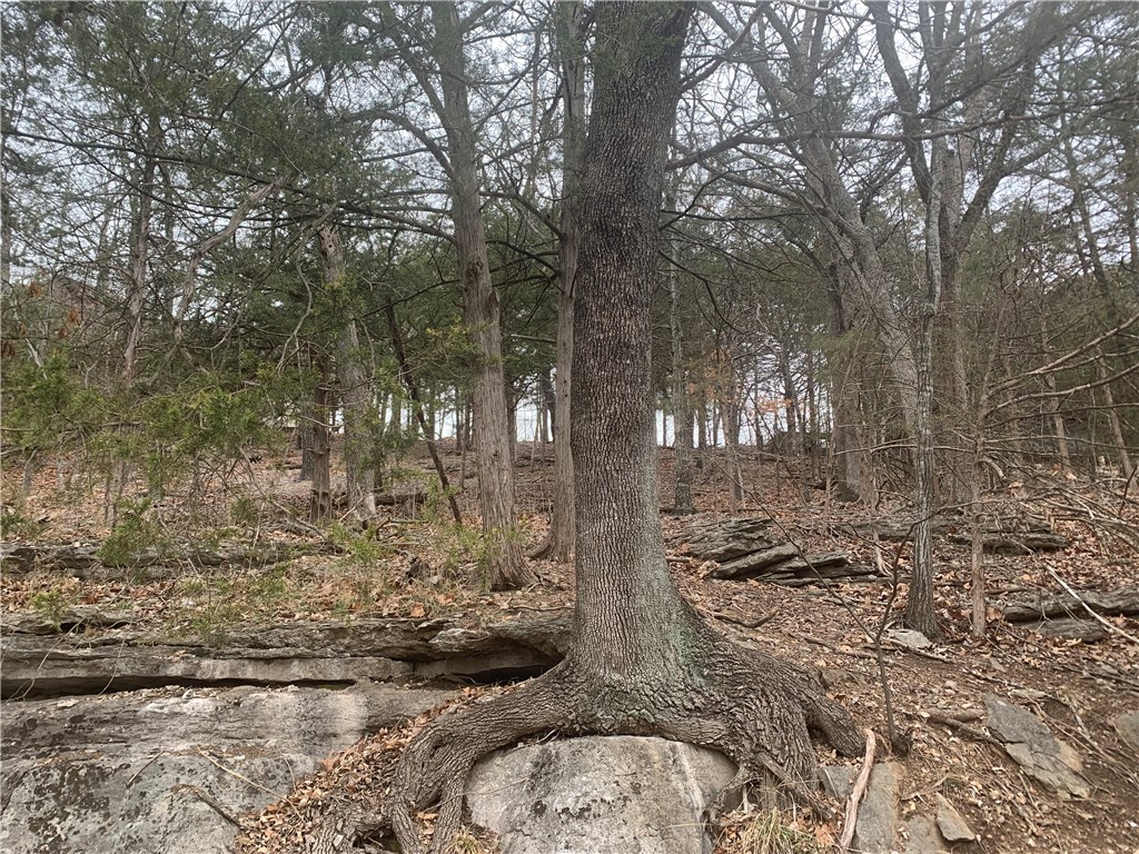 Great opportunity to build a home near Beaver Lake. The lots are located in the Lost Bridge Village with public water and sewer at the street. Amenities include the use of the airstrip, access to boat ramp off of Black Oak, community building. neighborhood park, recreation center, pool and tennis court.