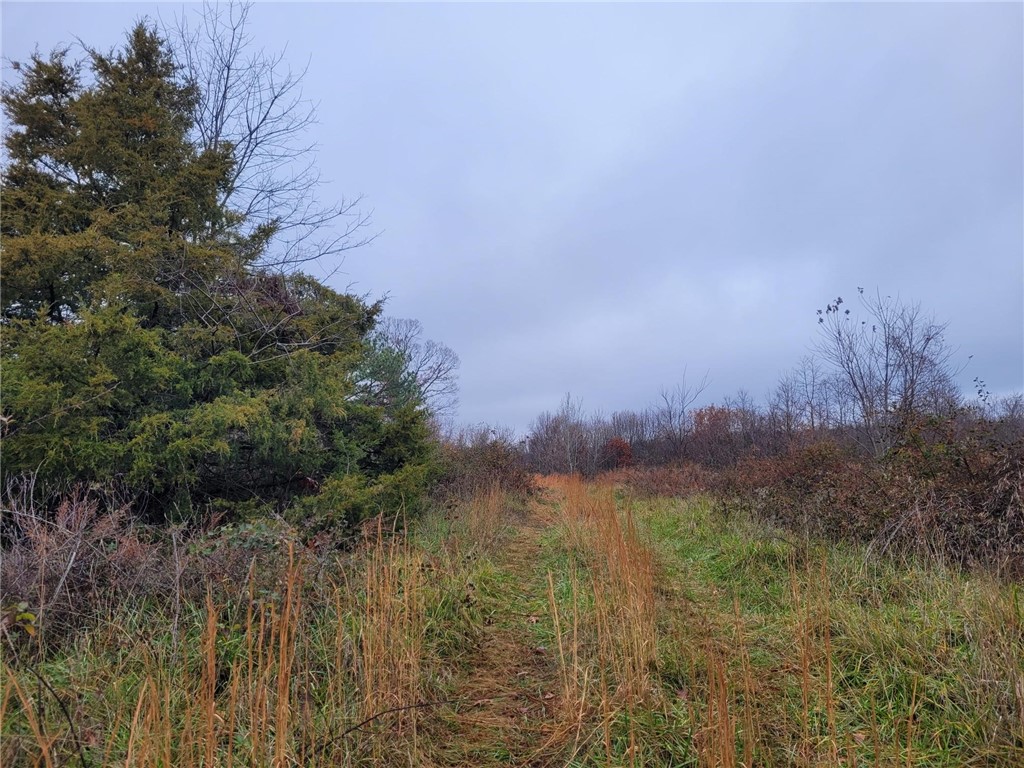 Wonderful piece of unrestricted land just off of Mill Hill Rd. 3 acres is already cleared and old home spot provides all utilities on property; back of property is timberland.  This is the perfect spot to build your quiet country home to raise your children and farm animals while still only 35 mins from Bentonville.  This will be sold “AS IS” there is a need for some clean up from the old home place that was once there.