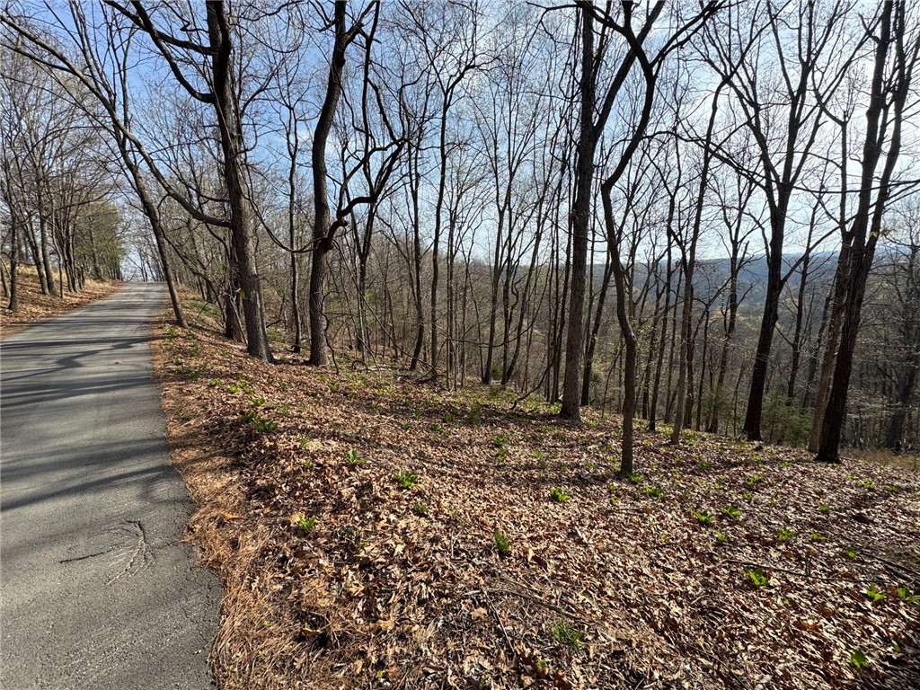 Timber Lake Estates - Land
