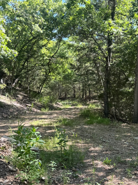 Timber Lake Estates - Land