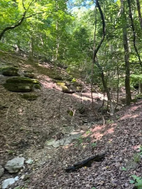 Timber Lake Estates - Land