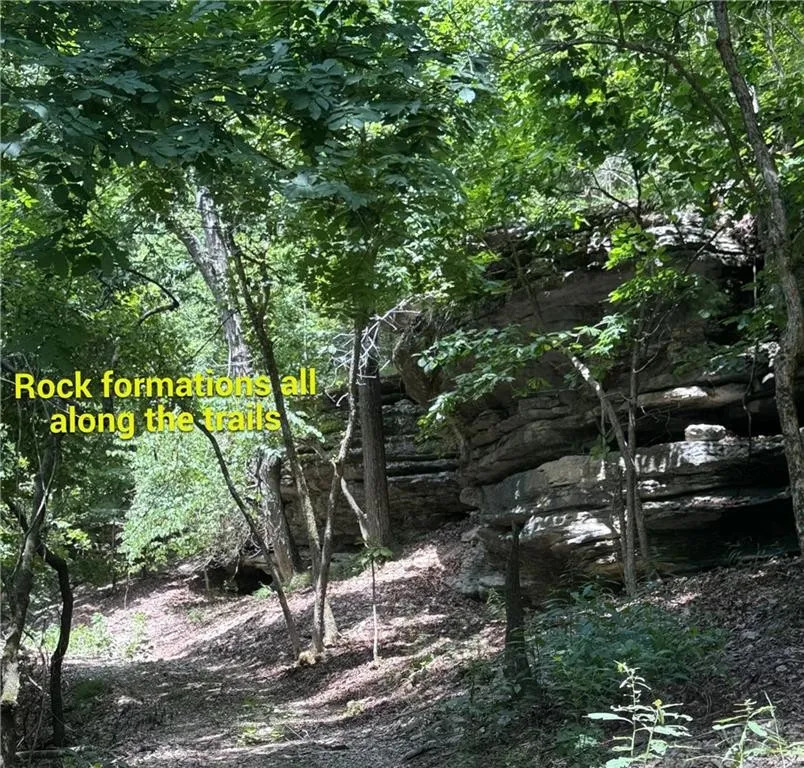 Timber Lake Estates - Land