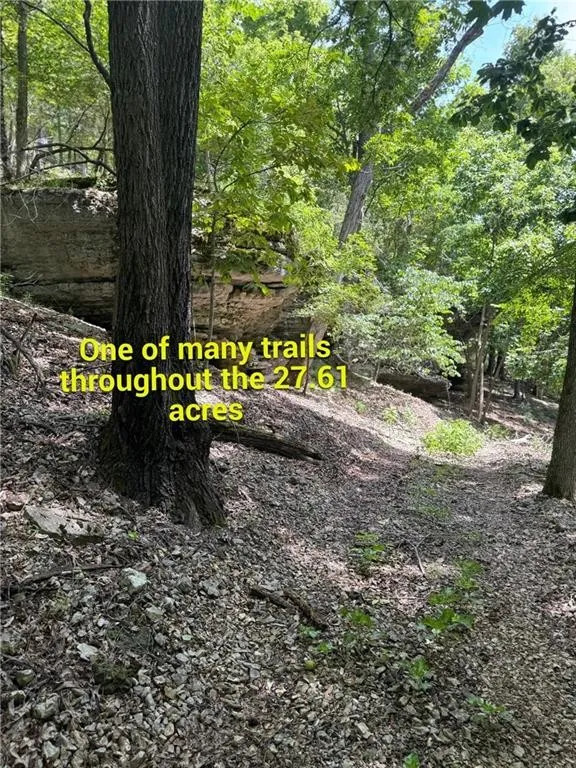 Timber Lake Estates - Land
