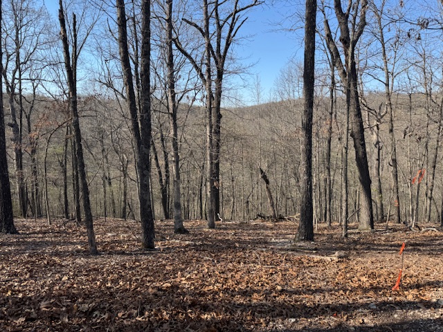 Timber Lake Estates - Land