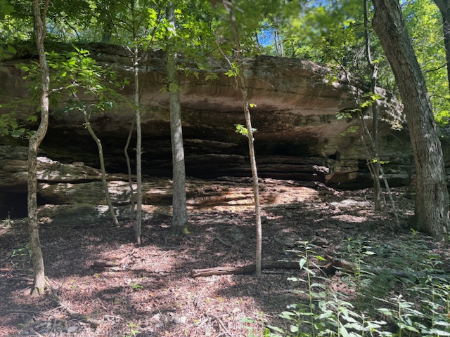Timber Lake Estates - Land