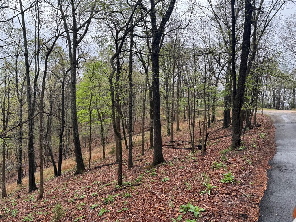 Timber Lake Estates - Land