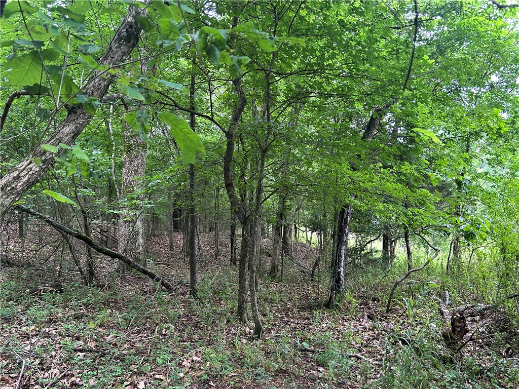 Hickory Heights - Land