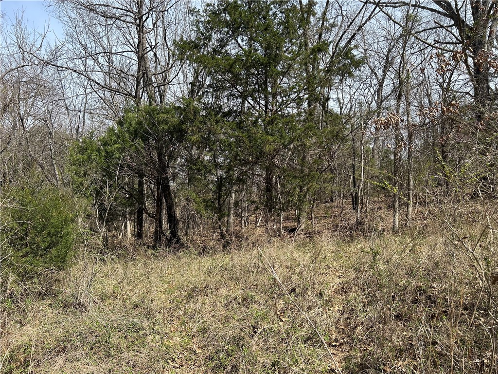 Hickory Heights - Land