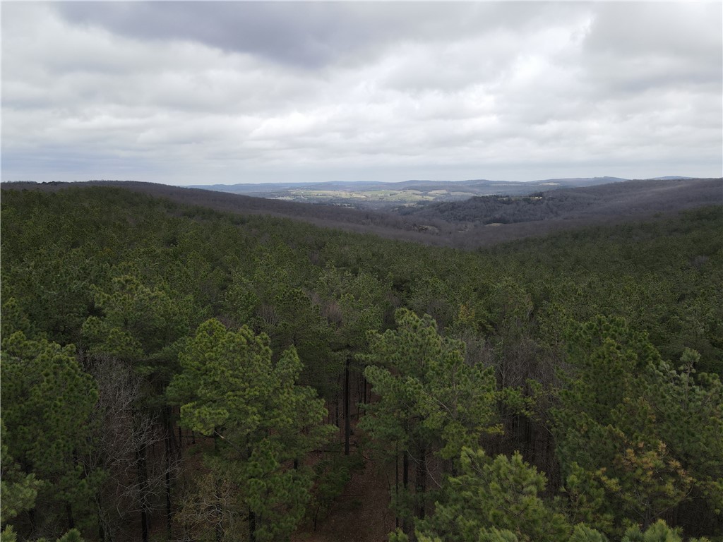 This 84 +/- acre tract in Madison County has everything going for it. All utilities are at the road and available, with no shortage of potential build spots that would provide tremendous views. Being an old pine tree farm, there is a great mix of mature pines and some hardwoods giving the property a fantastic atmosphere. An old logging trail on the property allows for great access throughout.

With the flat benches and gentle slopes this would make a terrific hunting property. There is whitetail sign and game trails all over the property. As you tour the property you will notice plenty of open areas which would provide great locations to sew in some food plots to further improve upon the hunting potential. Wet weather creeks meander through the draws offering a nice water source through a good portion of the year.

Just 10 miles from Huntsville, the property is 3 miles off of Highway 74, or another option is a little over a mile back to blacktop and out to Highway 23.