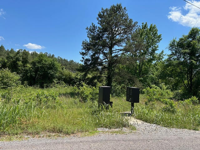 Come build on the last available double lot, lot 17 and 18, in the peaceful, country feel of The Meadows subdivision.