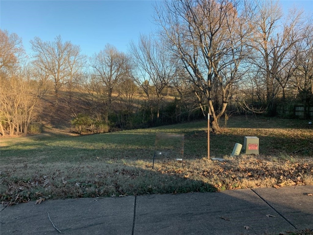 This lot is ready to build on. Water on site! Electric on site! Great location minutes from I49. Shopping and eateries near by. Farmington school district.