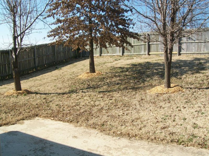 Oxford Place Sub - Residential Lease