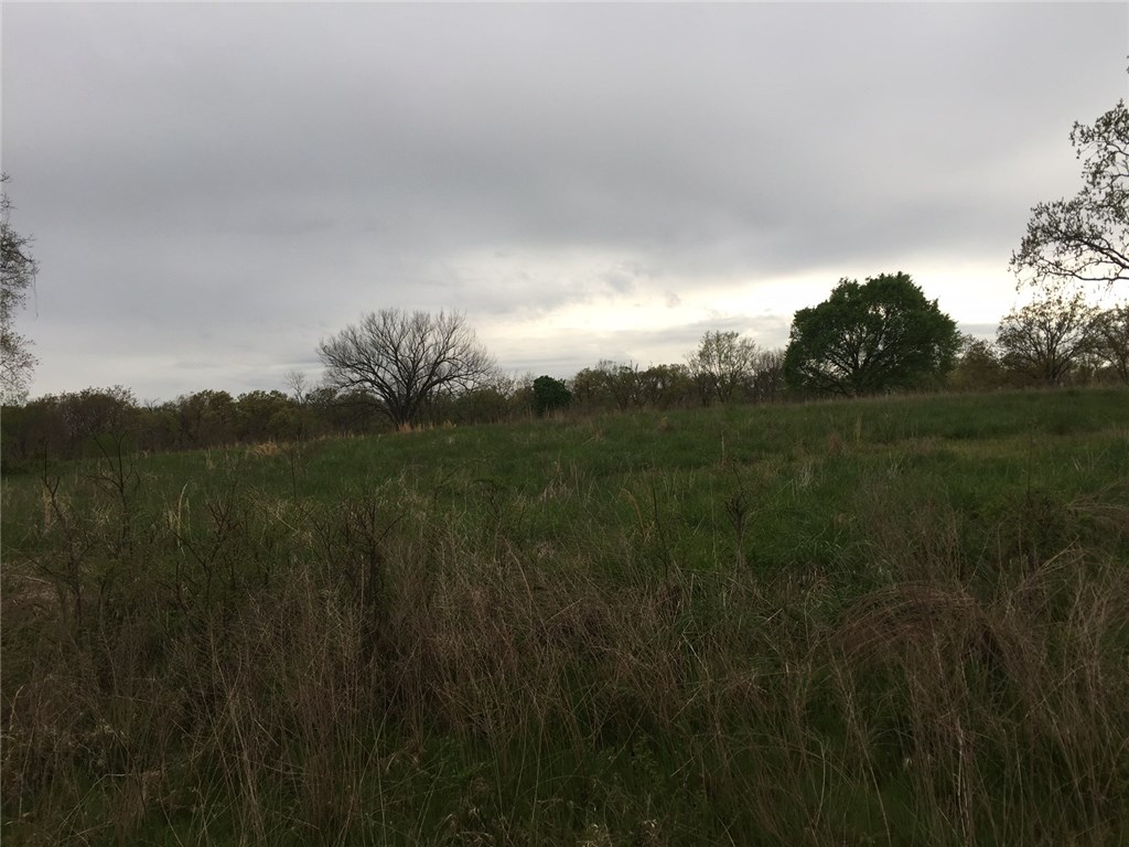 . - Land