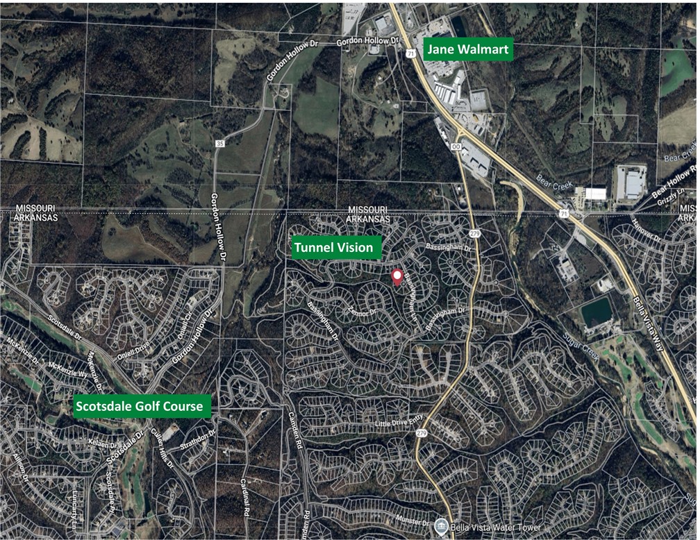Located in the quiet north part of Bella Vista with quick access to Jane Missouri Walmart this lot is pefect to build a cabin or home on and live in the trees. Located on a cul-de-sac. Underbrush has been cleared. Slight slope, easy to build on.