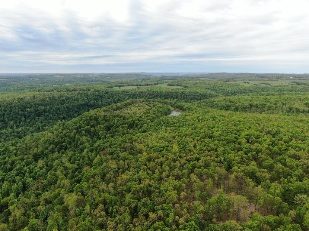 Remote wooded acreage with a pond and seasonal creek. Nice elevation change could make for good hunting or trails for ATV/UTV, horses, mountain biking, or hiking.