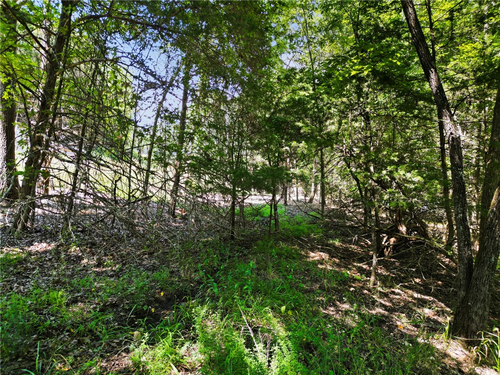 Big Clifty Shores Unit 1 - Land