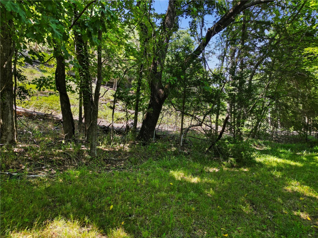 Big Clifty Shores Unit 1 - Land